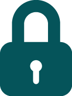 Software Security Topic Icon